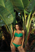 Swimsuit two piece model 113101