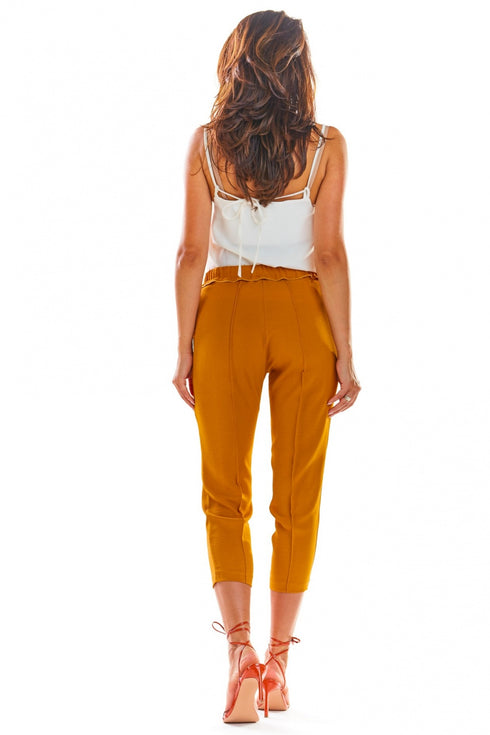 Women trousers model 144653