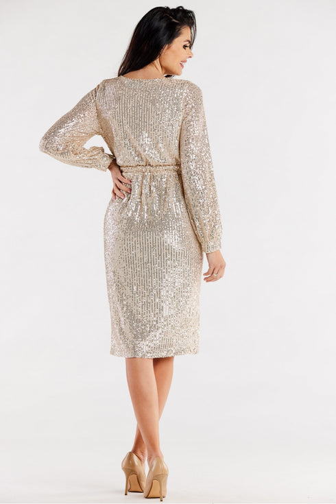 Evening dress model 174356